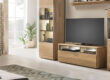 Modern living room with wooden TV cabinet