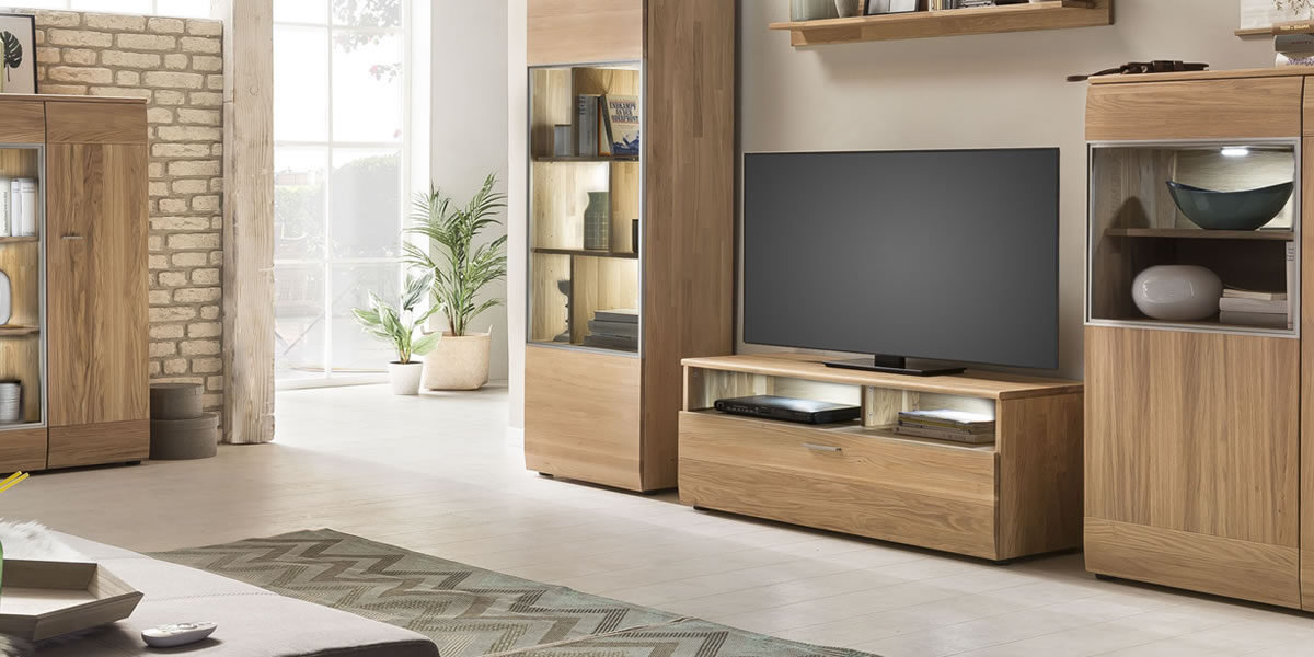 Modern living room with wooden TV cabinet